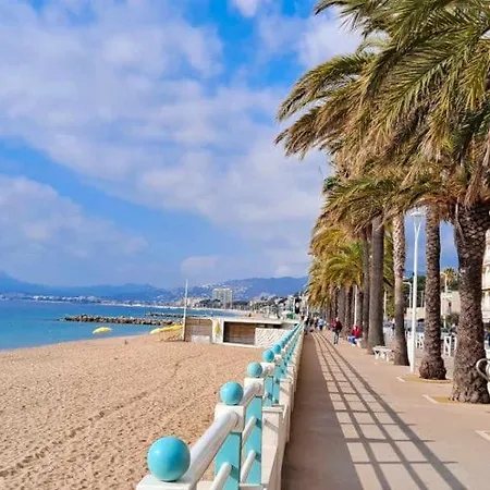 Lägenhet Le Palmier App Vue - Piscine- - Place De Parking Privee Cannes
